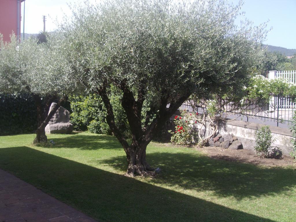 Scatitti House Villa Zafferana Etnea Phòng bức ảnh